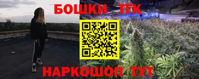 прущие крисы Кингисепп
