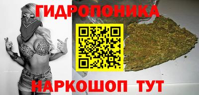 apvp Кимры