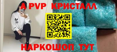 прущие крисы Кингисепп