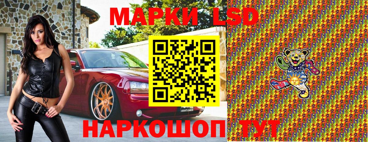 Альфа ПВП Краснокаменск